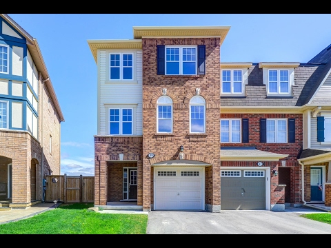 49 Vanhorne Close Brampton, Harbinder Brar