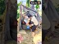 #timelapse start to finish alone build log cabin ( how to build wooden cabin surviva