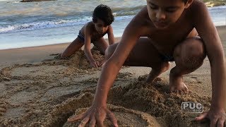 Miniatura do vídeo