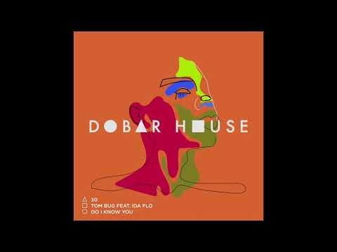 Tom Bug - Do I Know You feat. Ida Flo