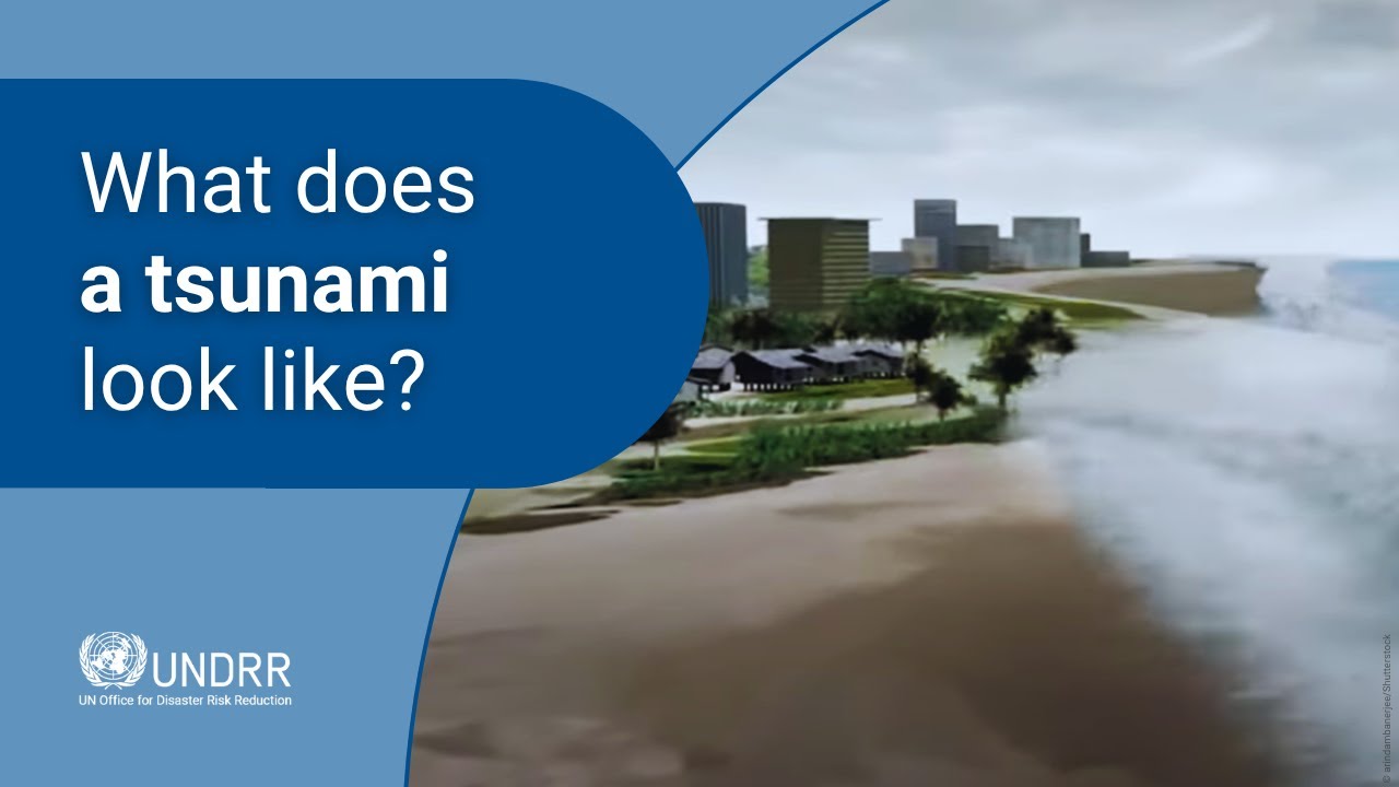 What does a tsunami look like? | UNDRR
