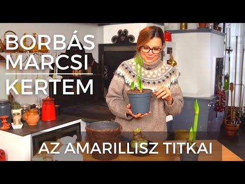 , title : 'Borbás Marcsi: Kertem - Az amarillisz titkai'