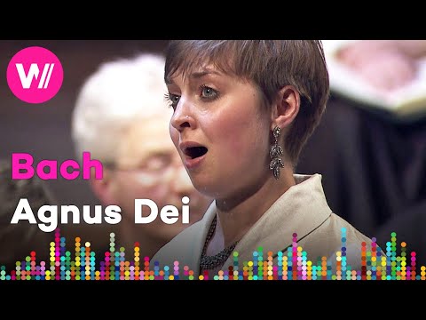 Bach - Mass in B Minor: Agnus Dei | Katie Bray, Sir John Eliot Gardiner, English Baroque Soloists