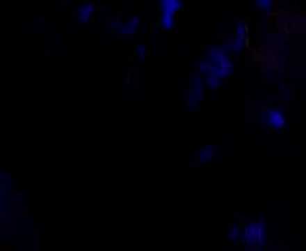 Fedde Le Grand - Put Your Hands Up!!