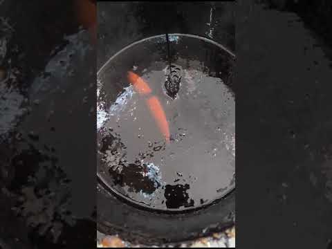 20gm Shilajit Resin Infused With Endurance Herbal Blend, Packaging Type: Jar