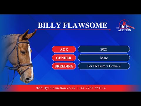 Billy Flawsome