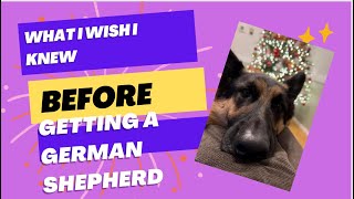 What I wish I knew BEFORE getting a GERMAN shepherd!!! #barkfood #GSDsofbark # ad