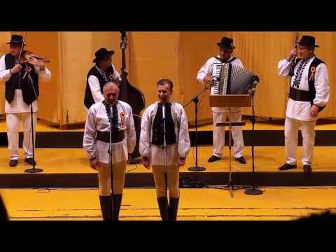 Nicolae şi Tudor Furdui-Iancu : Moment din Concert, în Timişoara