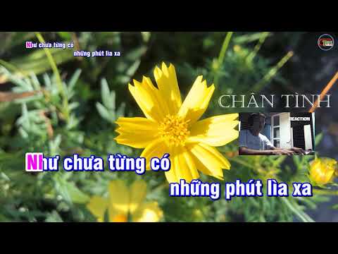 CHÂN TÌNH/ KARAOKE/ AlI Hoàng Dương - Anh Tú - Tone Nam