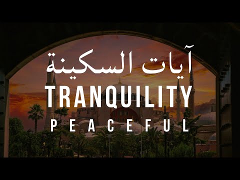 آيات السكينة لدفع القلق والهموم | AYAT OF TRANQUILITY - SAKINAH (Peaceful)