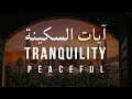 آيات السكينة لدفع القلق والهموم | AYAT OF TRANQUILITY - SAKINAH (Peaceful)