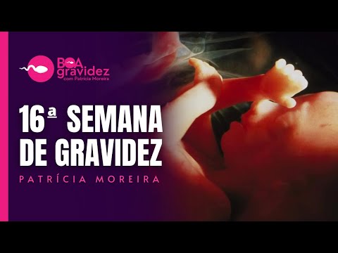 16 SEMANAS DE GRAVIDEZ - Gravidez Semana a Semana 16 weeks pregnant - Pregnancy week by week