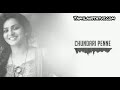 Chundari Penne Dulquer Salmaan Malayalam Status