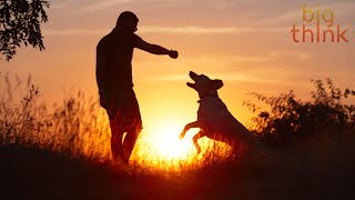 "Fur Therapy" and Other Treats That Can Help You Change a Bad Habit