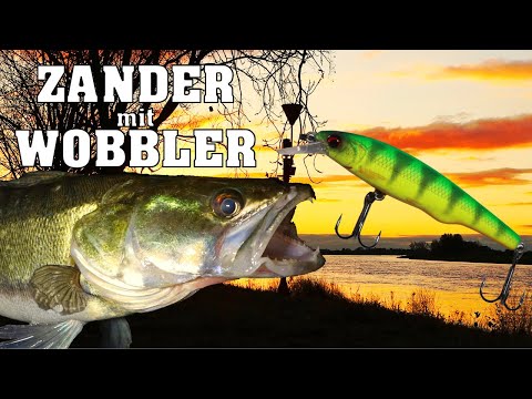 Zanderangeln in der Nacht: Die besten Spots, Wobbler und Tipps