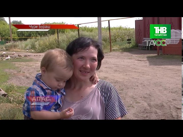 Новости "Апас хәбәрләре" 03.08.2020