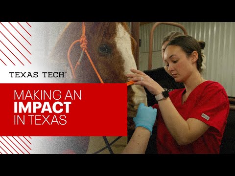 School of Veterinary Medicine | Making an Impact | Texas Tech University