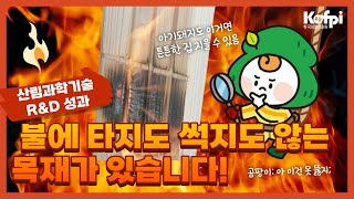 [산림R&D 성과] 불에 잘 타지 않는 친환경 목재