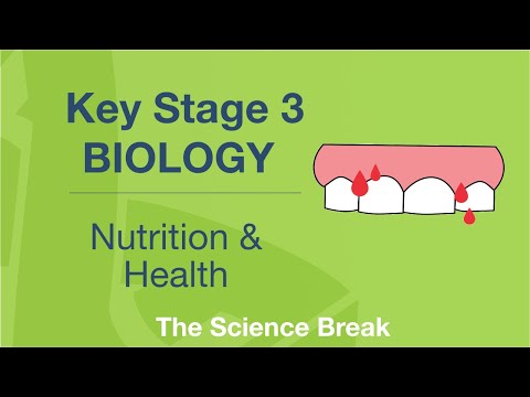 Key Stage 3 Science (Biology) - Nutrition and Health