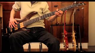 Firewater - Bad, Bad World (bass cover)
