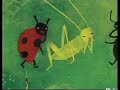 Story Time With Kay The Stink Bug Blues