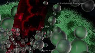 Rikha Async - happy end / rhizome