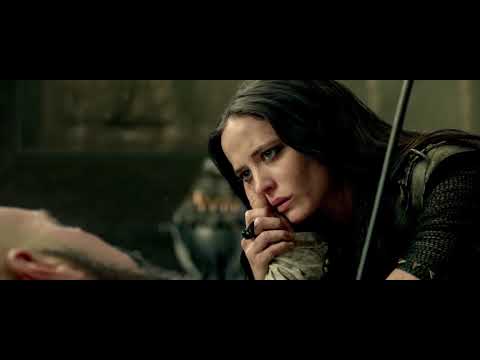 Artemisia Intro 300 rise