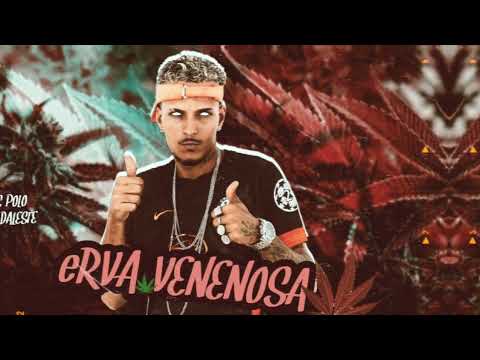 MC POLO FEAT MC DALESTE - ERVA VENENOSA - (REMIX BREGA FUNK)
