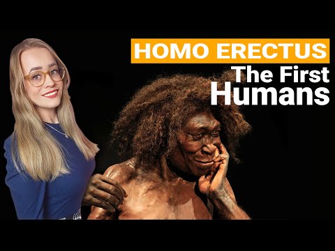 First Upright Humans? | Homo Erectus