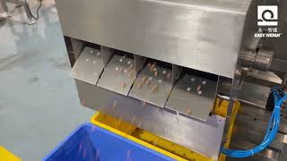 Precision at Its Finest: Four Lane Air Blowing Device in X-Ray Inspection Detects Peanut