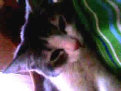 dj Smash-stop the time