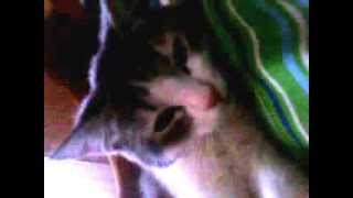 dj Smash-stop the time