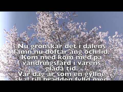 Nu grönskar det text