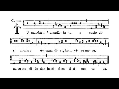 Dominica XIX post Pentecosten (XIX Sunday after Pentecost) - Communio (Tu mandasti)
