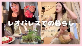 【vlog#436】こんな日常を「幸せ」って言うんだと思う/レオパレス暮らしの34歳独身フリーター女の日常