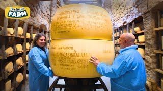 AMAZING Parmesan Cheese Production: Discover The Largest Parmesan Factory!