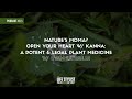 Nature S MDMA Kanna A Potent Legal Plant Medicine W Ryan Latreille 523 Luke Storey