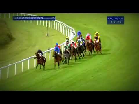 Goodwood Racing - 02/08/13 - Winning Express - Horse Racing