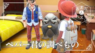 【ペパー君の調べもの】虫贔屓でスカーレット 初見のんびり実況 #あまおとハズレ旅