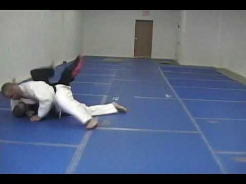 Adult Kenpo Clips 2009