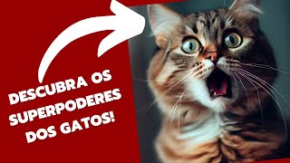 Descubra as curiosidades incríveis sobre os superpoderes dos gatos!