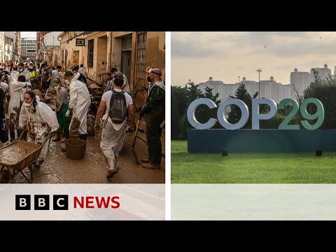 Video | UN climate talks 'no longer fit for purpose' say key experts | BBC News