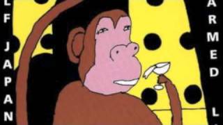 Half Japanese - Miracles Happen Every Day