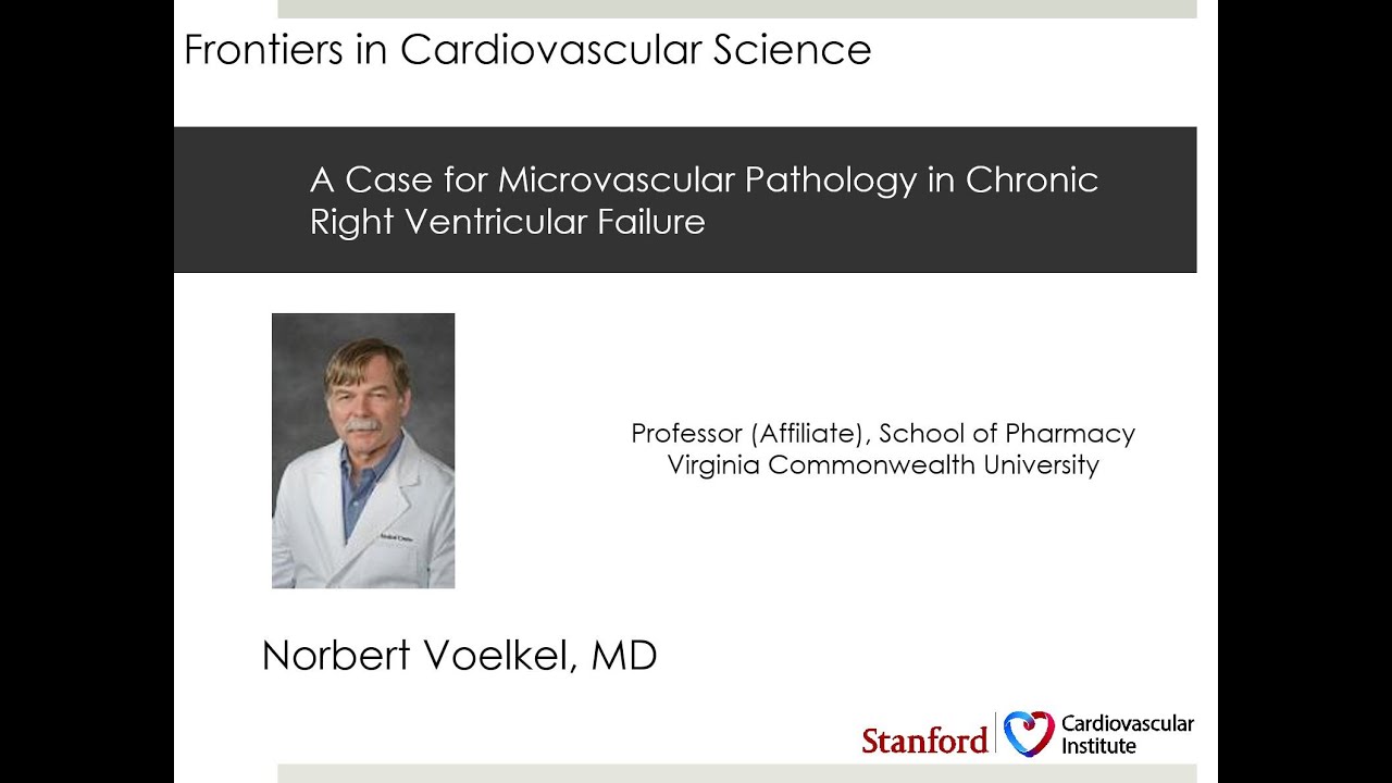 A Case for Microvascular Pathology in Chronic Right Ventricular Failure
