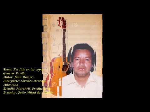 Perdido en las copas