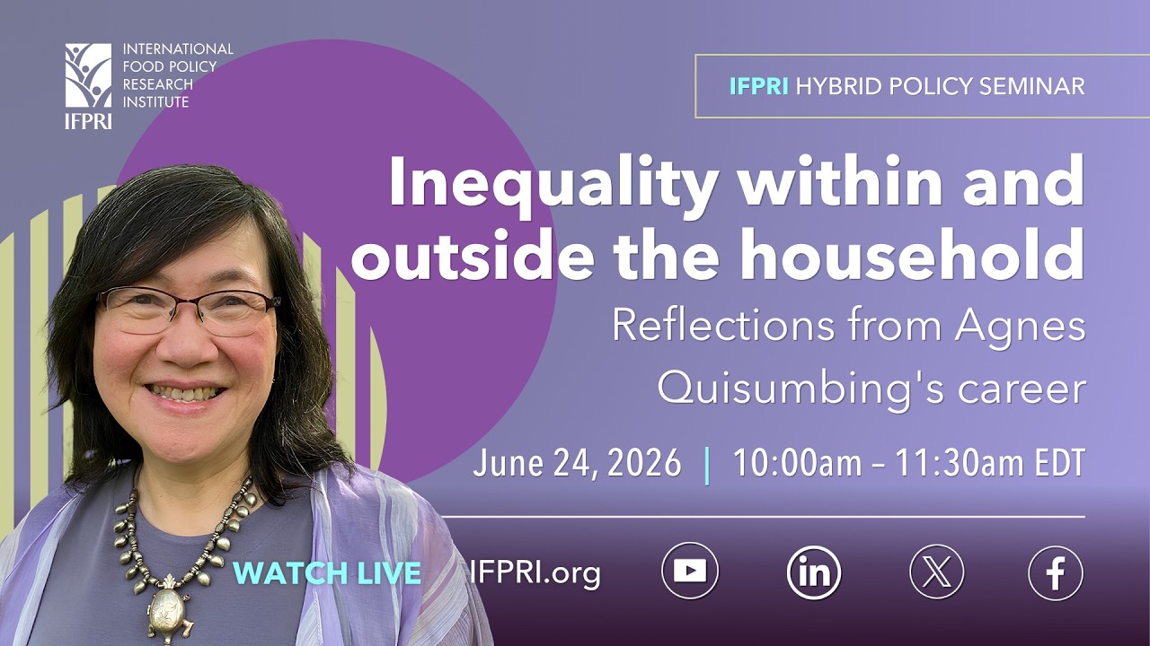 Inequality within and outside the household