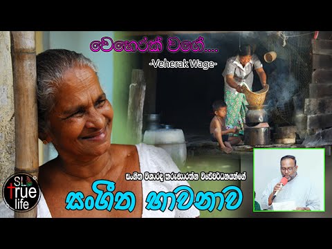 Veherak wage වෙහෙරක් වගේ__Karunarathna Wijewardhana සංගීත භාවනාව 04(karunarathna Divulgane)