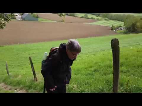 Wanderung - Rund um Langenberg