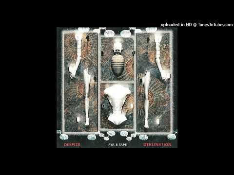 DESPIZE / DEKLINATION - FYA 8 TAPE (FULL SPLIT)