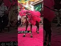 Jay Meldi Maa Video Stetus Gujarati Shortvideo